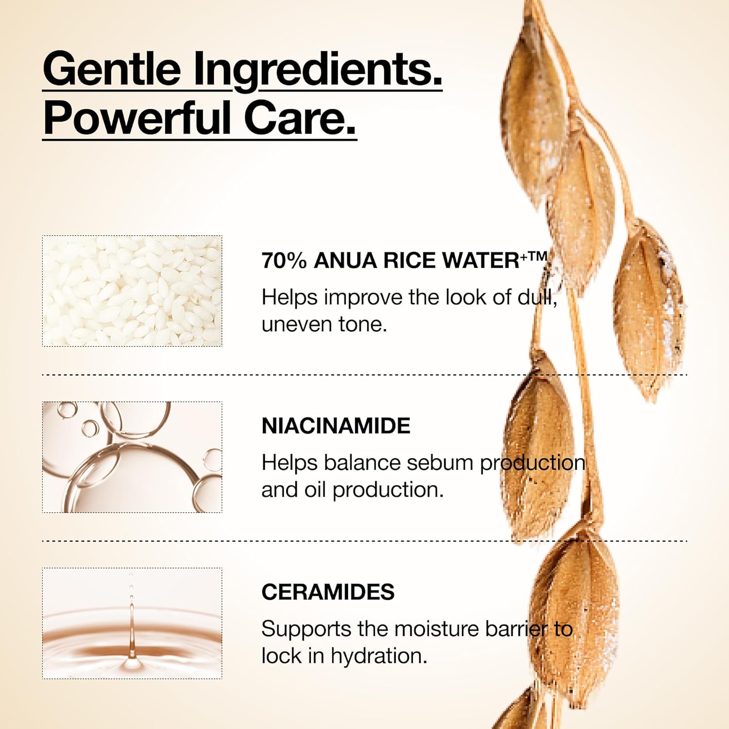ANUA - RICE 70 GLOW MILKY TONER
