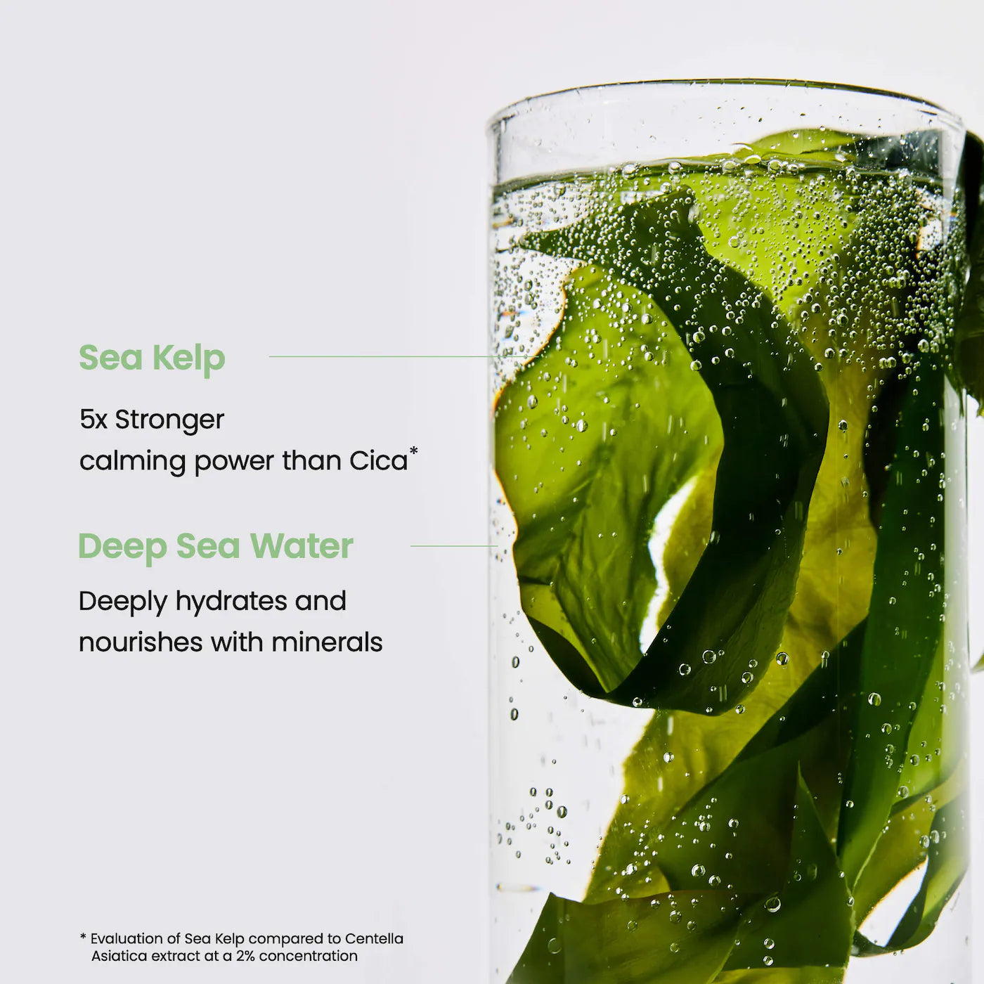 BIODANCE-REFRESHING SEA KELP REAL DEEP MASK 1 und