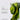 BIODANCE-REFRESHING SEA KELP REAL DEEP MASK 1 und