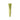 ARENCIA VITAMIN C BOOSTER SHOT 30ml